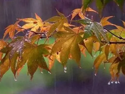 پراکندگی عجیب بارش‌ها