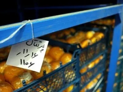 آغاز عرضه میوه تنظیم بازار نوروز از ۲۰ اسفند