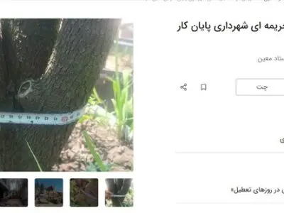 آگهی_های جدید دیوار؛ اجاره درخت!
