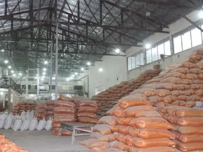 تشکیل پرونده تخلف ۱۱۹ میلیارد ریالی برای شالیکوبی‌های گیلان