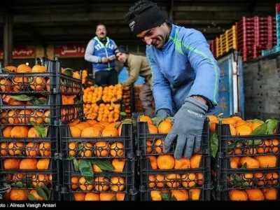 صادرات پرتقال، سیب و خرما متوقف نشده است