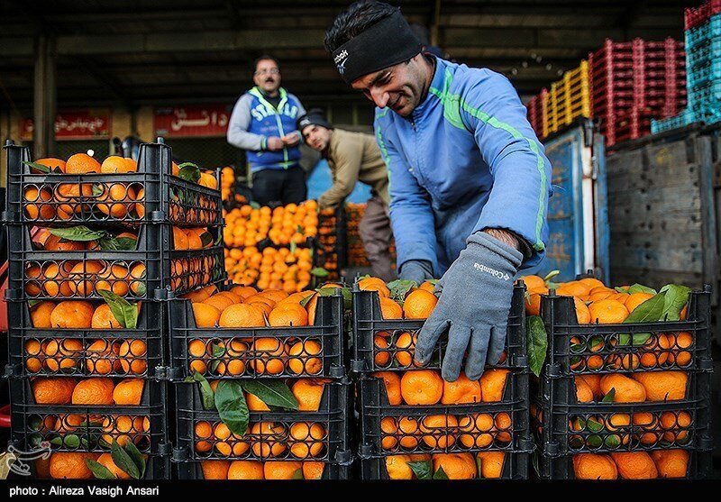 صادرات پرتقال، سیب و خرما متوقف نشده است