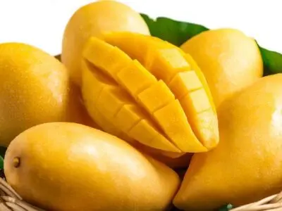 عواقب هفت‌خان رستم واردات اتوبوس برای مسافران!