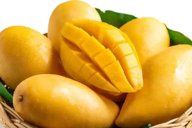 عواقب هفت‌خان رستم واردات اتوبوس برای مسافران!