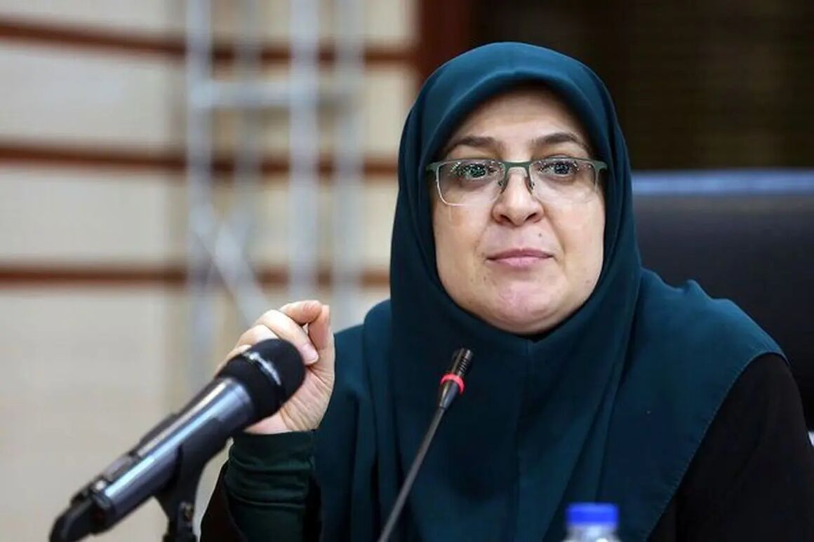 سخنگوی دولت به گیلان سفر می کند