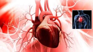 قلب می تواند ۴۵ سال پیرتر از سن واقعی فرد باشد!