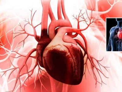 قلب می تواند ۴۵ سال پیرتر از سن واقعی فرد باشد!
