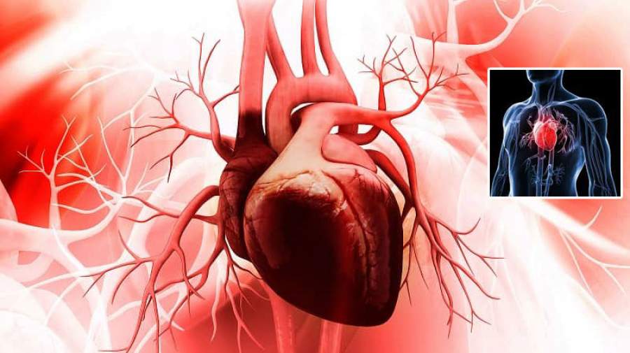 قلب می تواند ۴۵ سال پیرتر از سن واقعی فرد باشد!