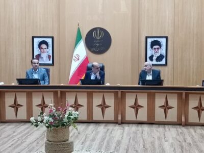 عدم تخصیص ارز و احتکار خانگی دو عامل کسری روغن در سطح تولید و عرضه است