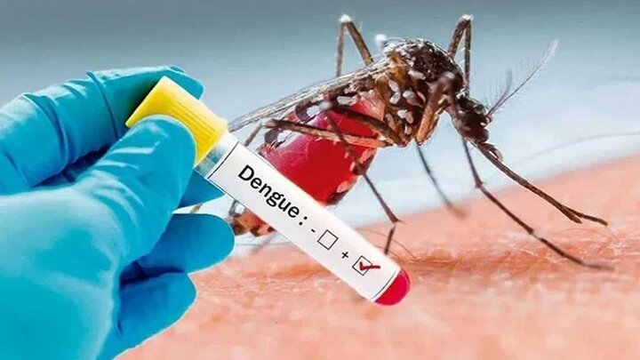 شناسایی ۱۷ مبتلا به تب دنگی از ابتدای سال