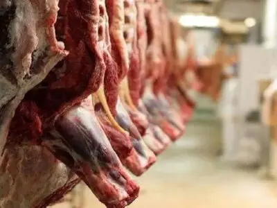 قیمت گوشت قرمز دستکاری شده است؛ گاومیش به سبد مصرف اضافه شد