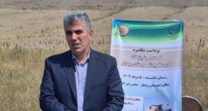 آغاز برداشت مکانیزه گندم و تریتیکاله در رودبار