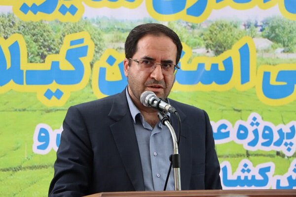 بازگشت حقوق کشاورزان بدون نیاز به شکایت قضایی/۹ هزار هکتار اشتباه ثبت شده در گیلان