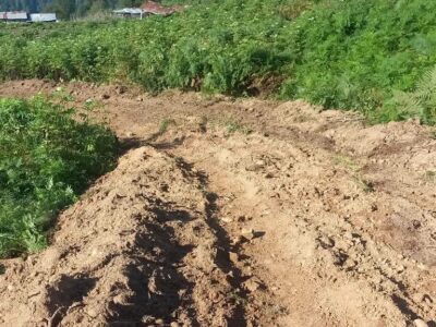 تشکیل پرونده قضایی برای عاملین تخریب محیط زیست در شهرستان شفت