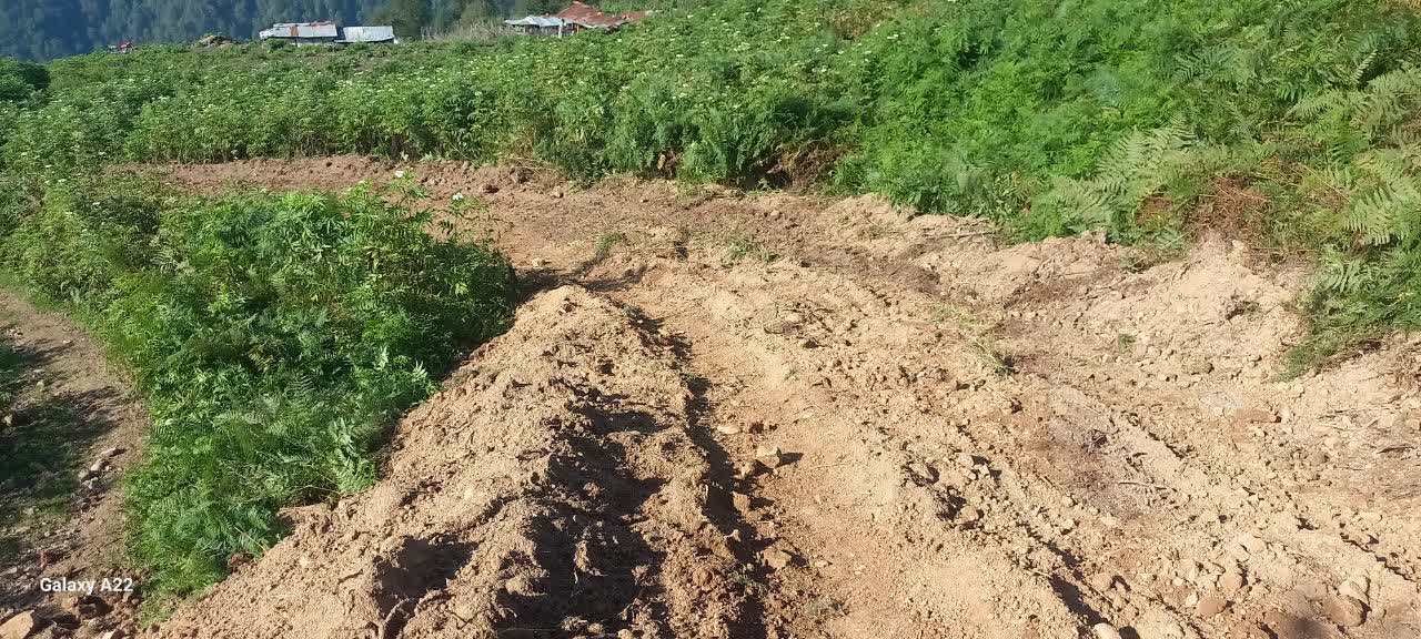 تشکیل پرونده قضایی برای عاملین تخریب محیط زیست در شهرستان شفت