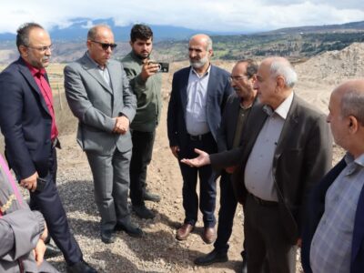 مدیرکل صمت گیلان: زیتون رودبار باید به‌عنوان برند جهانی معرفی شود
