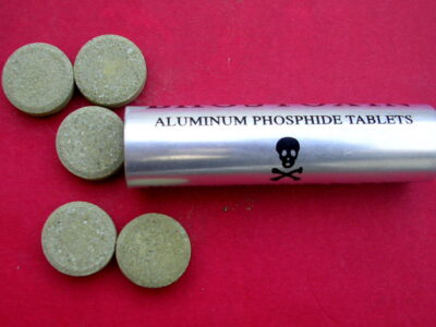 قرص برنج همچنان میکُشد؛ گیلان در میان استانهای پرخطر! قرص برنج همچنان میکُشد؛ گیلان در میان استانهای پرخطر مسمومیت!