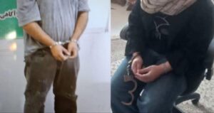 قتل مرد ۶۷ ساله در سیاهکل؛ همسر و قاتل اجیرشده دستگیر شدند