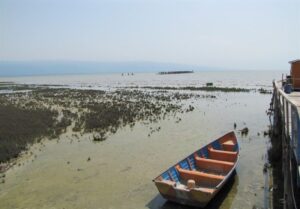 نفس‌های آخر خلیج گرگان؛ از وعده‌های احیا تا شکایت از قصور سازمان محیط زیست