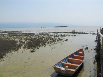 نفس‌های آخر خلیج گرگان؛ از وعده‌های احیا تا شکایت از قصور سازمان محیط زیست