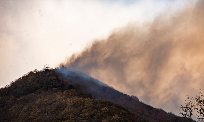 پایان حریق یا ادامه بحران؟ روایت میدانی از جنگل‌های در آتش گلستان