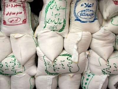 گرانی بی‌سابقه برنج؛ ناهماهنگی دولت و جولان دلالان بازار را به بحران کشاند