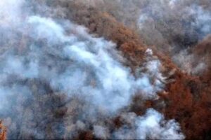 پاییز داغ در شمال/ بالگردهای اطفا کجایند؟