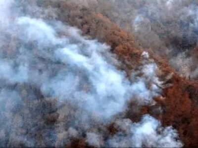 پاییز داغ در شمال/ بالگردهای اطفا کجایند؟