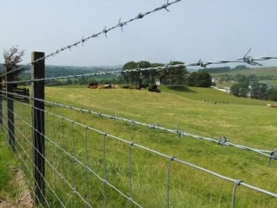 رفع تصرف اراضی ملی ۸ میلیارد تومانی در رضوانشهر؛ زمین‌خوار ۴۷ ساله به مراجع قضایی معرفی شد