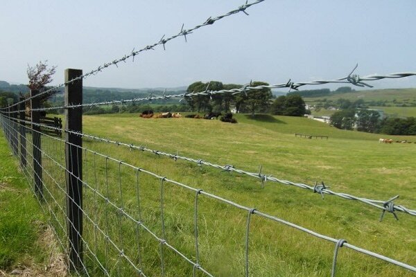 رفع تصرف اراضی ملی ۸ میلیارد تومانی در رضوانشهر؛ زمین‌خوار ۴۷ ساله به مراجع قضایی معرفی شد