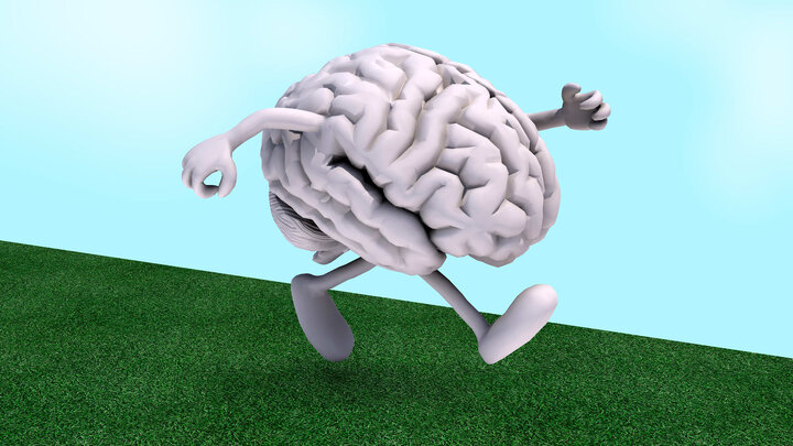 پیادهروی و تمرینات قدرتی؛ سپر طبیعی مغز در برابر آلزایمر پیادهروی و تمرینات قدرتی؛ سپر طبیعی مغز در برابر آلزایمر