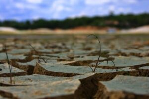 ما دچار خشکسالی عقل و خرد هستیم؛ تنها راه‌حل، مدیریت جمعیت است