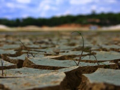 ما دچار خشکسالی عقل و خرد هستیم؛ تنها راه‌حل، مدیریت جمعیت است