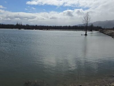 احیای آب‌بندان کیاکلایه با راهکار نوآورانه در گیلان