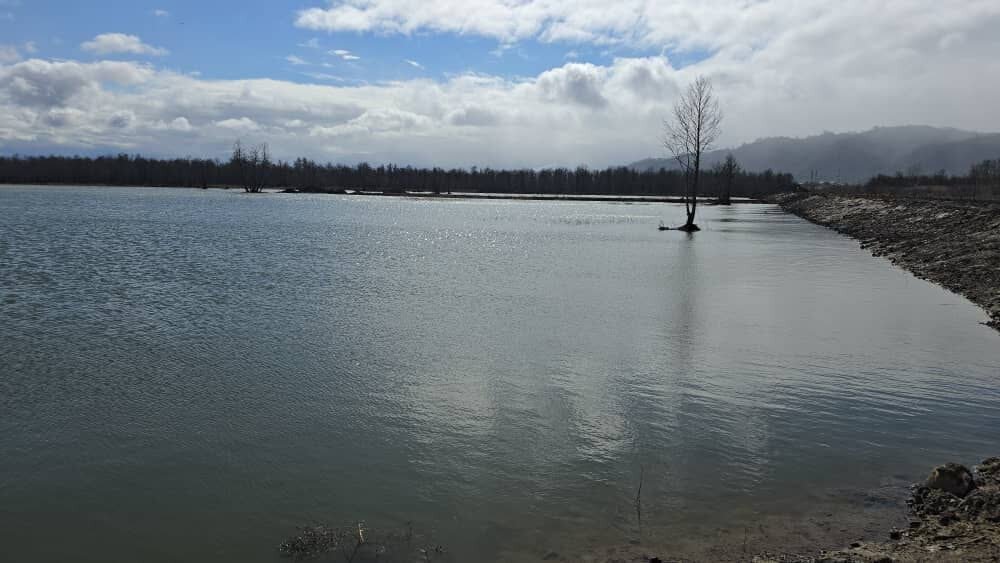 احیای آب‌بندان کیاکلایه با راهکار نوآورانه در گیلان
