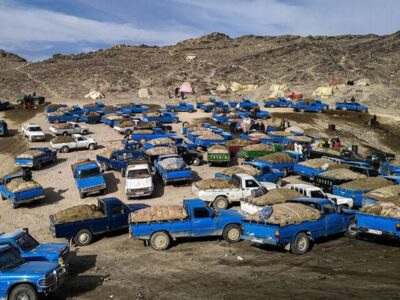 پرونده «طوفان» و موج خشم افکار عمومی