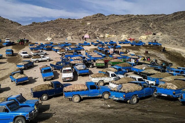 پرونده «طوفان» و موج خشم افکار عمومی