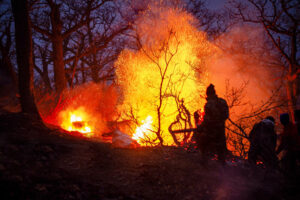 آتش همچنان می‌تازد؛ ردپای خطای انسانی در حریق جنگل‌های چالوس