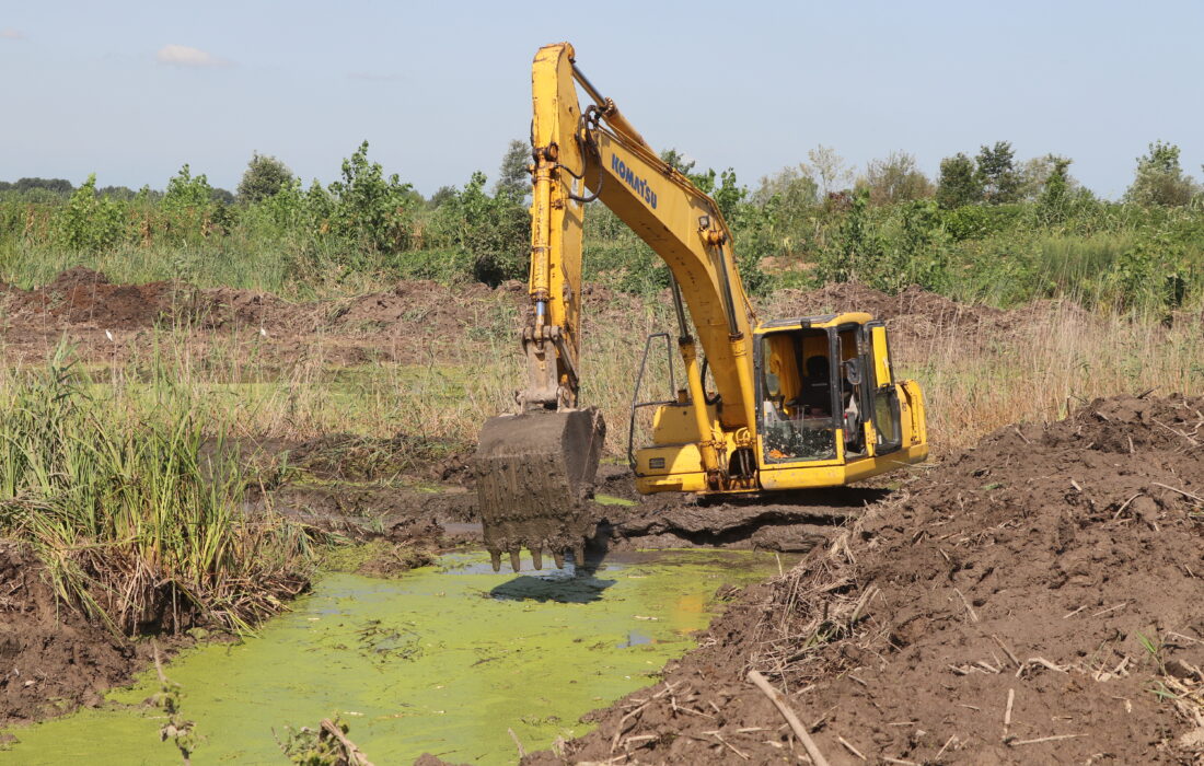 لایروبی ۵۰۰ هکتار آب‌بندان با تهاتر خاک در گیلان
