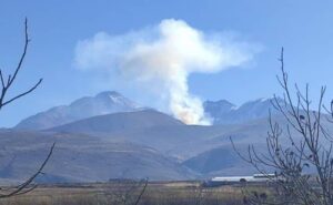 مرزبانی: آتش ۵ هکتار از جنگل‌های آستارا مهار شد