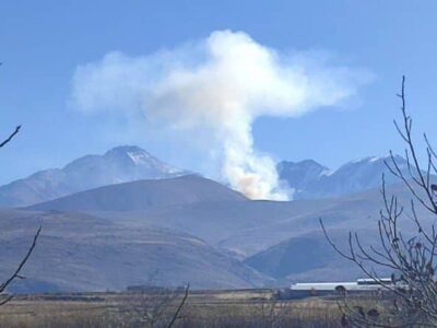 مرزبانی: آتش ۵ هکتار از جنگل‌های آستارا مهار شد