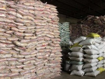 صفر شدن تعرفه کالاها میان ایران و پاکستان؛ فرصت بزرگ یا تهدید برنج داخلی؟