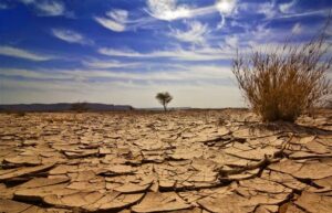 ۱۹ سد بزرگ کشور در آستانه مرگ کامل‌!