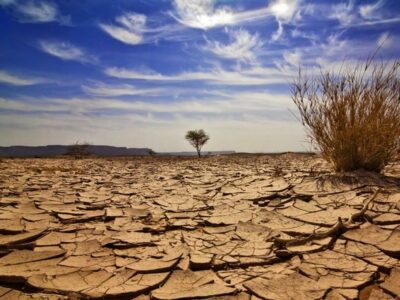 ۱۹ سد بزرگ کشور در آستانه مرگ کامل‌!