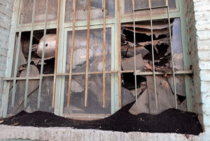 پایان یک پرونده قدیمی؛ تخلیه کامل ۳۱ هزار تن چای سنواتی از انبارهای تهران