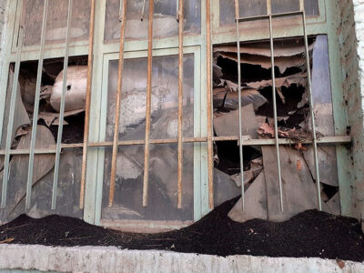 پایان یک پرونده قدیمی؛ تخلیه کامل ۳۱ هزار تن چای سنواتی از انبارهای تهران