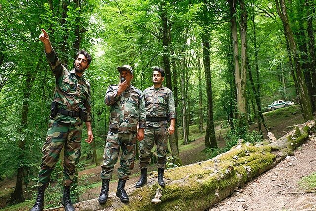 حفظ جنگل‌ها یا عدم توجه به حقوق کارگران؟ قرق‌بانان مازندران از تأخیر در پرداخت می‌نالند