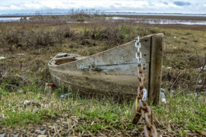 ۲۰ سال حفاظت ناقص؛ تالاب بین‌المللی انزلی قربانی موج‌شکن‌ها و هتل‌سازی‌های غیرمسئولانه