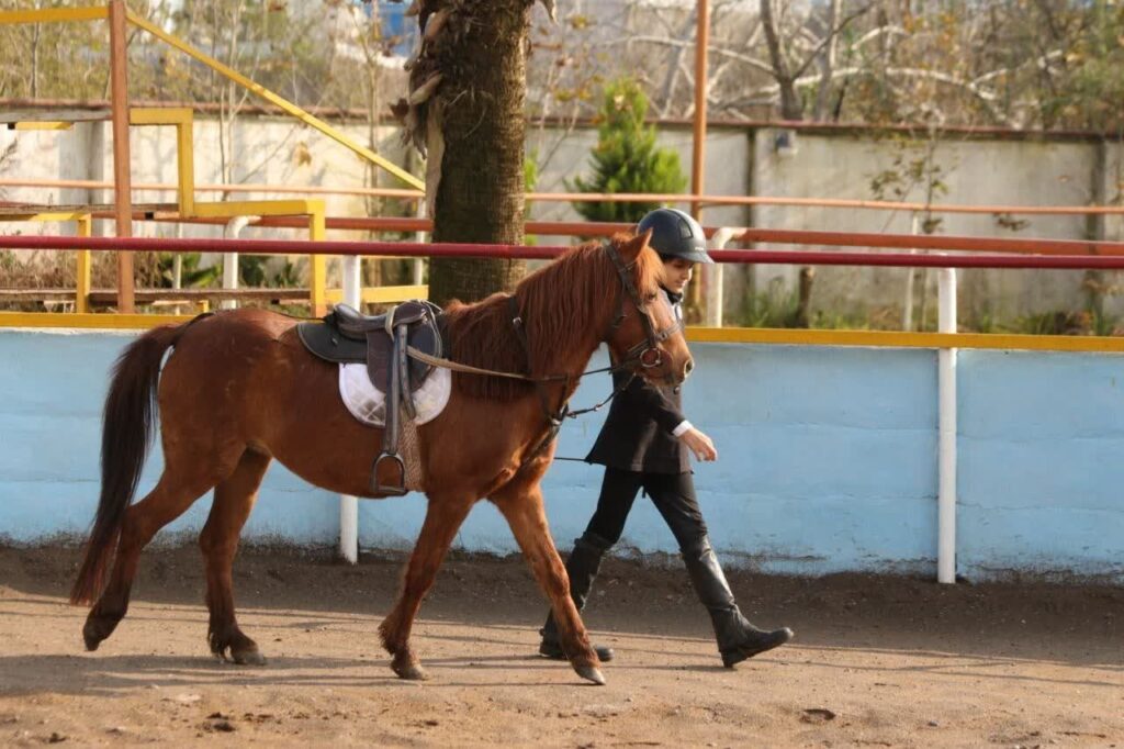 اسب‌های کوچکِ افسانه‌ای در انزلی؛ بیستمین جشنواره ملی زیبایی کاسپین برگزار شد