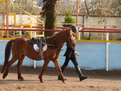 اسب‌های کوچکِ افسانه‌ای در انزلی؛ بیستمین جشنواره ملی زیبایی کاسپین برگزار شد
